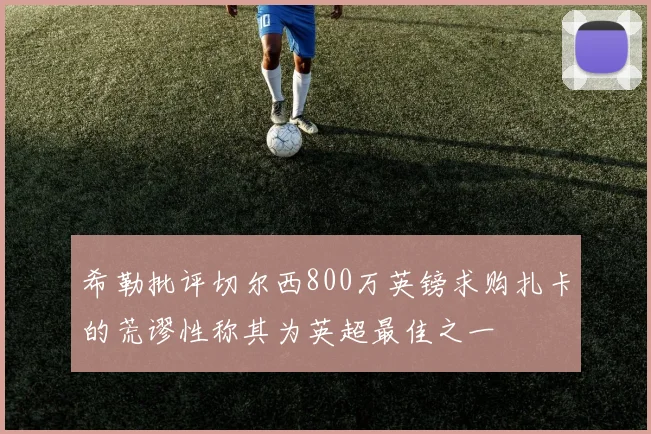 希勒批评切尔西800万英镑求购扎卡的荒谬性称其为英超最佳之一