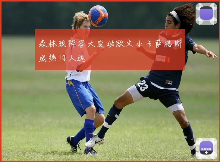 森林狼阵容大变动欧文小卡萨格斯成热门人选